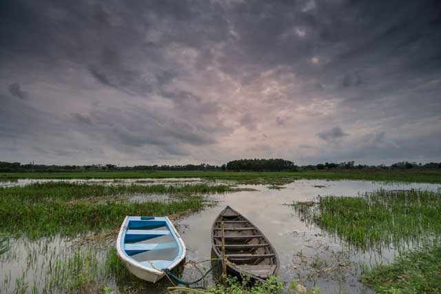 State Fisheries Development Corporation Ltd. (SFDC)